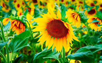 Similar image 22201580