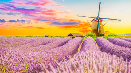 Similar image 22201405