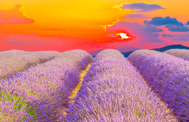 Similar image 22201407