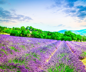 Similar image 22201410