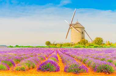 Similar image 22201411