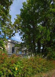 Similar image 22196753