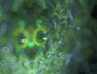 Similar image 22196672