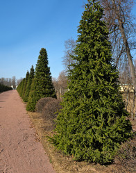 Similar image 22196805