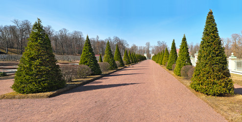 Similar image 22196809