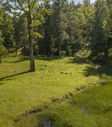 Similar image 22196830