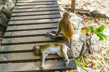 Similar image 22197449