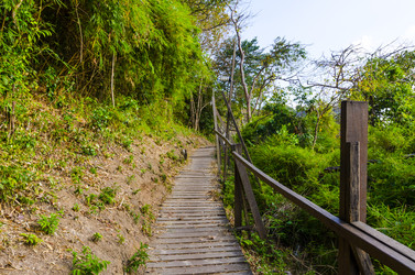 Similar image 22199685