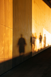 Similar image 22207941