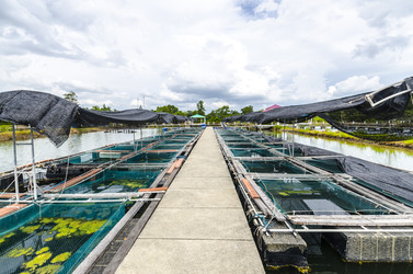 Similar image 22197452