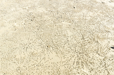 Similar image 22199691