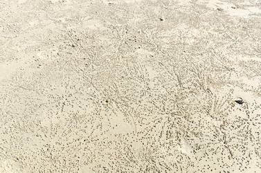 Similar image 22199692