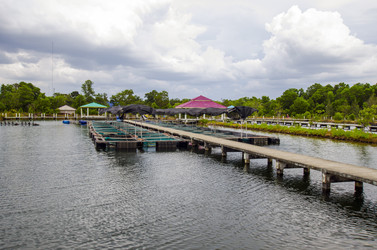 Similar image 22197454