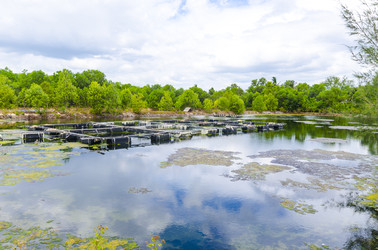 Similar image 22197455