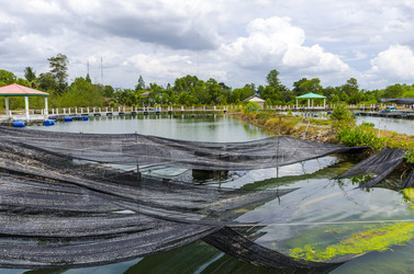 Similar image 22197457