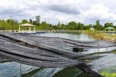 Similar image 22197458