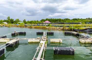 Similar image 22197459