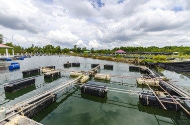 Similar image 22197461