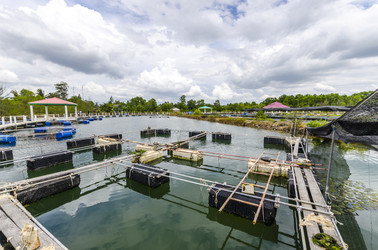 Similar image 22197462