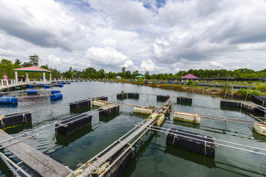 Similar image 22197463