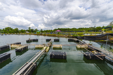 Similar image 22197464