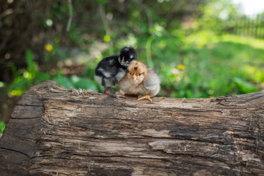 Similar image 22194862