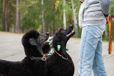 Similar image 22194864