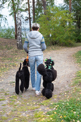 Similar image 22194865