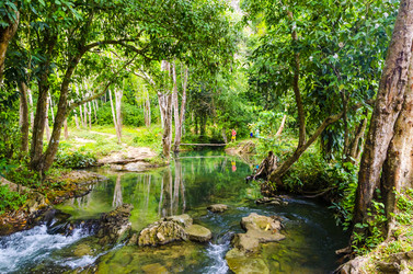 Similar image 22199796