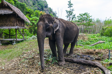 Similar image 22196407