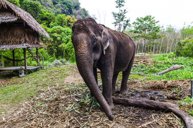 Similar image 22196408