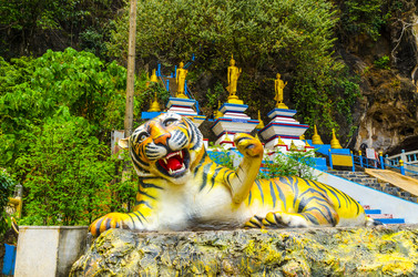 Similar image 22198005