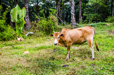 Similar image 22196412