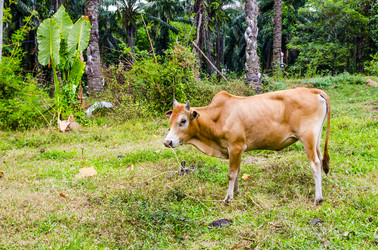 Similar image 22196413