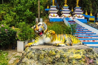 Similar image 22195934