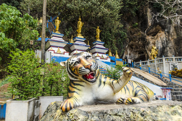 Similar image 22195938