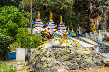 Similar image 22195941