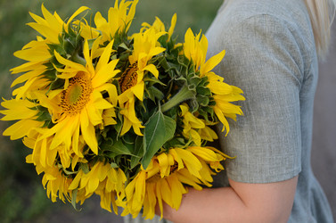 Similar image 22204409