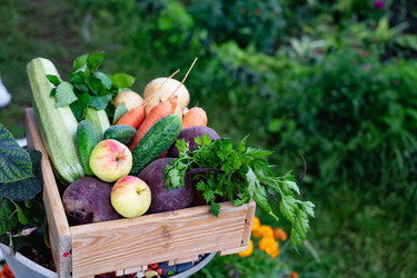 Similar image 22204438