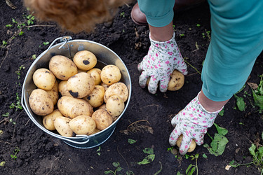 Similar image 22204439