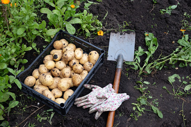 Similar image 22204443