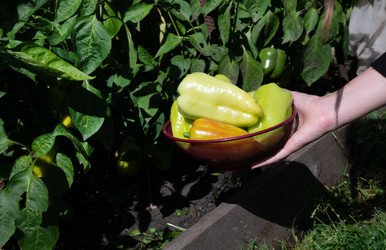 Similar image 22204444