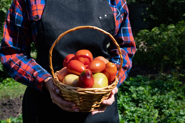 Similar image 22204445