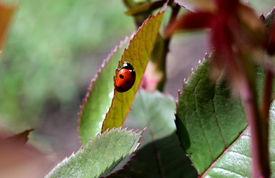 Similar image 22204447