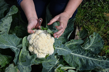 Similar image 22204448