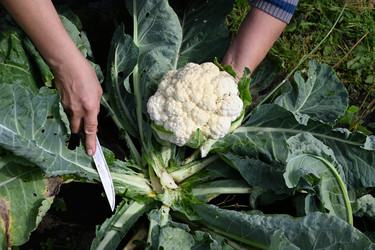 Similar image 22204449