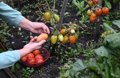 Similar image 22204451