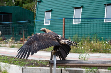 Similar image 22204453