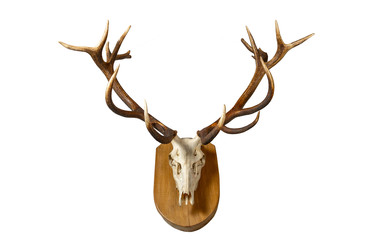 Similar image 22195470