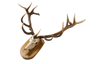 Similar image 22195471